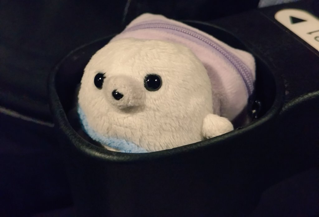 gomanosuke613's tweet image. えいが みた