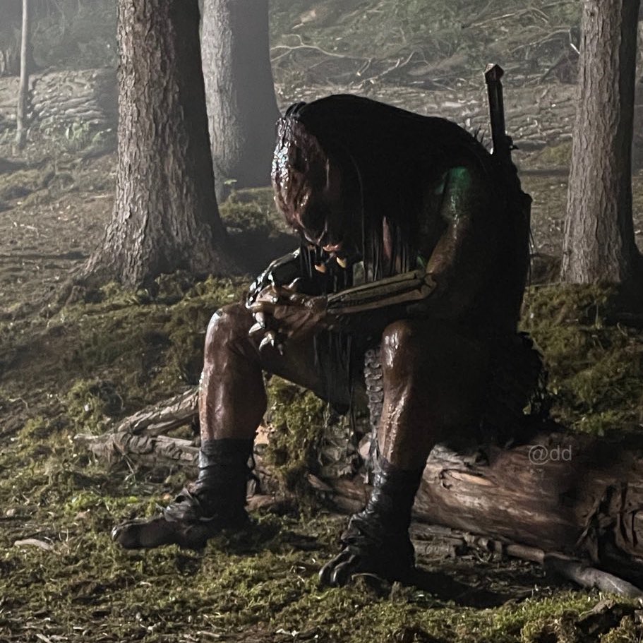 flackblagx's tweet image. Waiting for predator badlands like:
