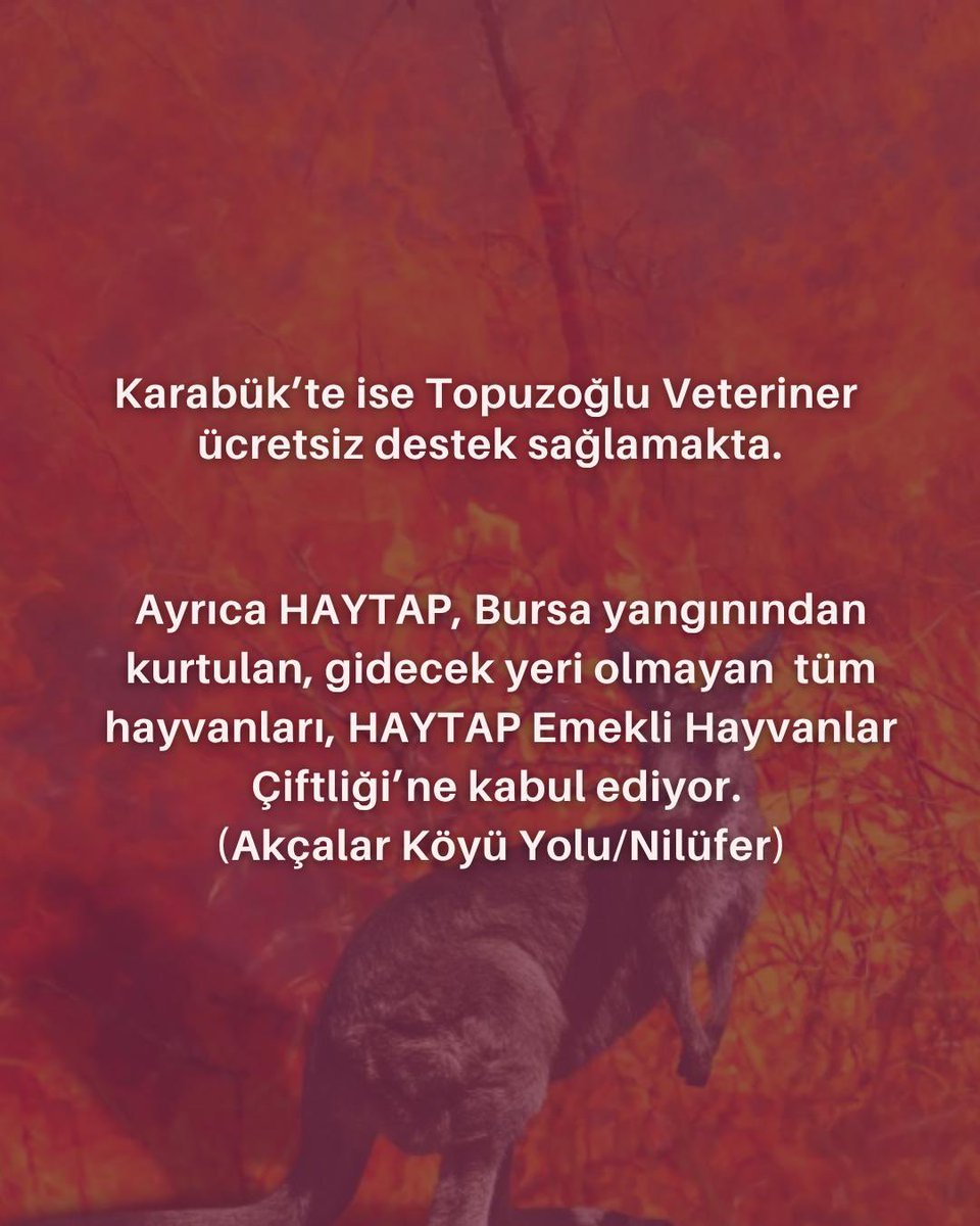 🚨Yangından etkilenen hayvanlara ücretsiz destek veren veterinerlerin listesi

#Bursa #Kahramanmaraş #KahramanmaraşYanıyor #yangınvar #yangınfaciası #SONDAKİKA #acil