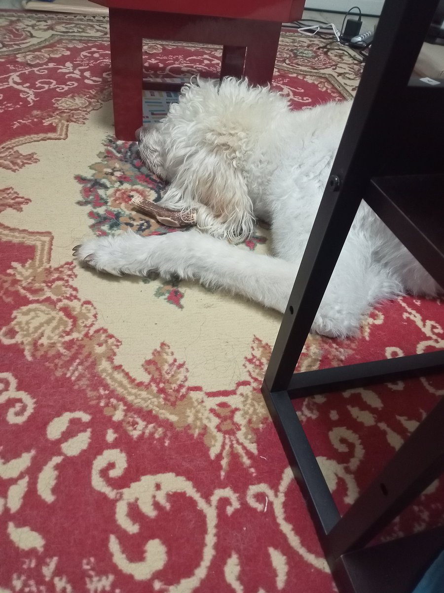 ラムチョップと野菜グリル。ヴィノスのソーヴィニヨン。ドメーヌジボー。