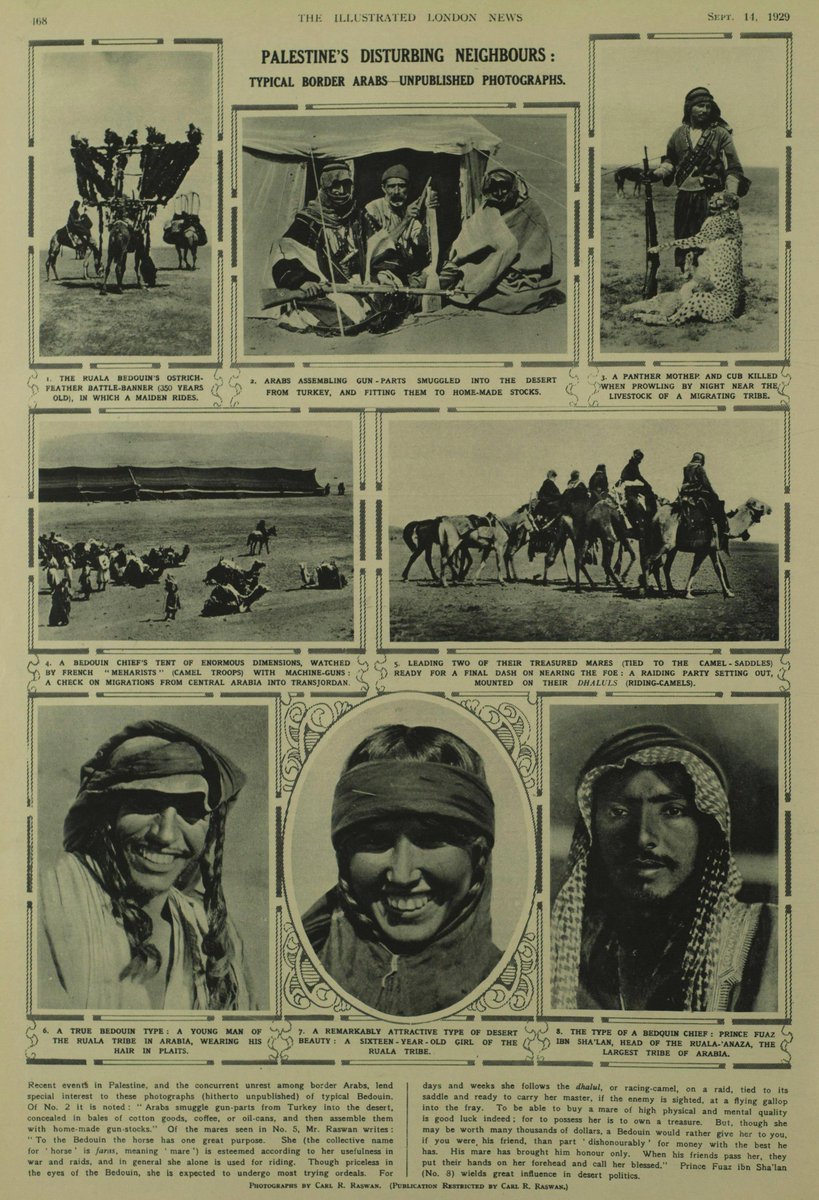 nrrkf's tweet image. مجموعة صور لـ قبيلة عنزة - (1929م).