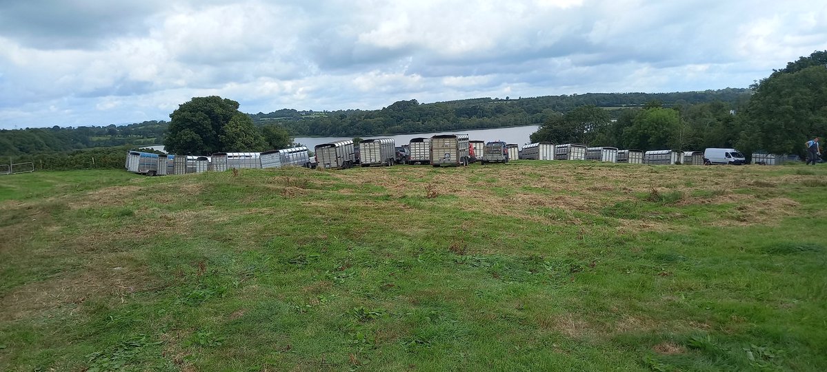 barneycully's tweet image. Some Cattle trailers parked with a view of the beautiful Gartyough Lake. A stunning backdrop for Arva Show