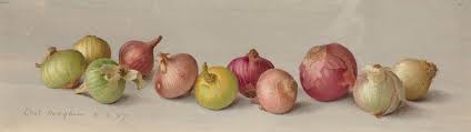 IrisBugatti1's tweet image. #Sunday 
#Market 
#StillLife 

Onions 😊

🎨 Eliot Hodgkin