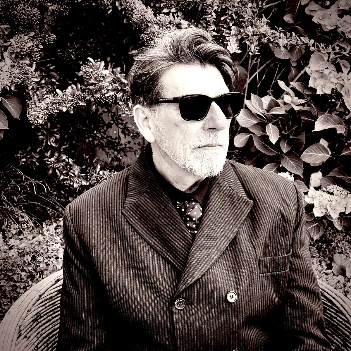 Will Sergeant tweet media