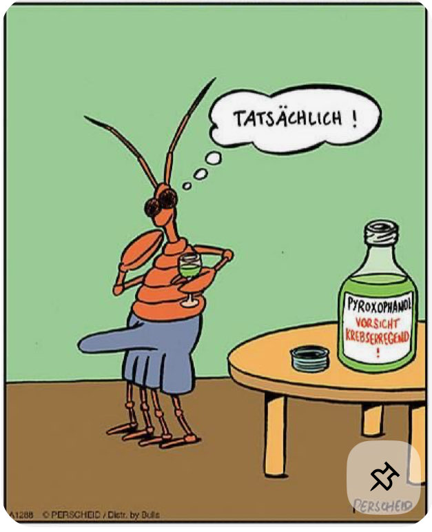 hedyundolaf's tweet image. 🤣🤣🤣🤣🤣🤣🤣🤣🤣🤣🤣