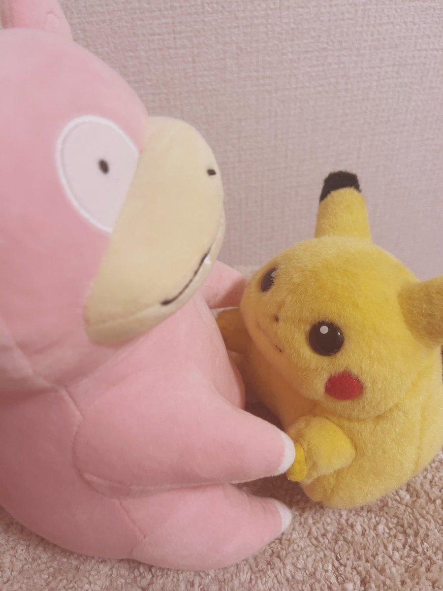 piopio_PIKA's tweet image. あの　　だこしてくれますか？？
