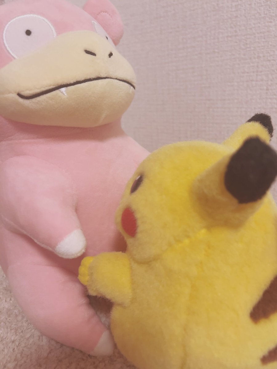 piopio_PIKA's tweet image. あの　　だこしてくれますか？？