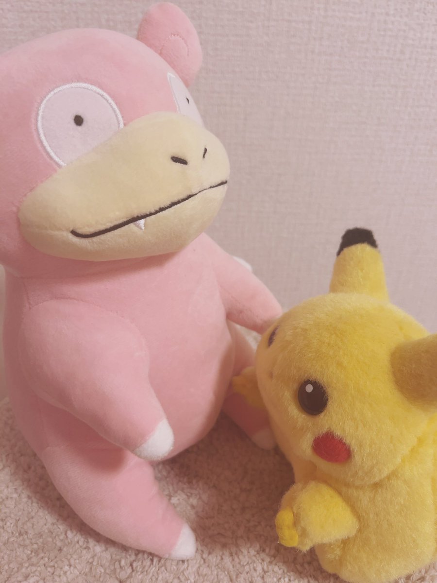 piopio_PIKA's tweet image. あの　　だこしてくれますか？？
