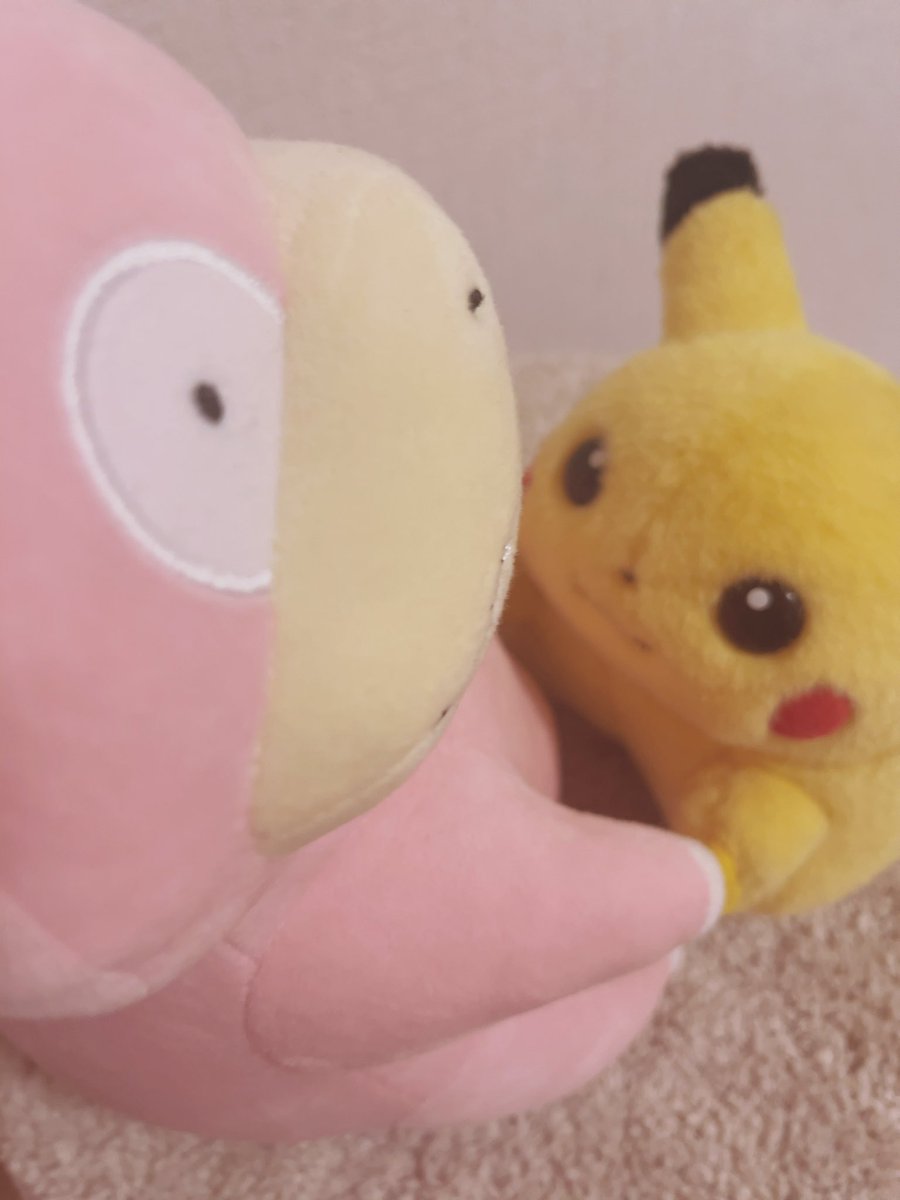 piopio_PIKA's tweet image. あの　　だこしてくれますか？？