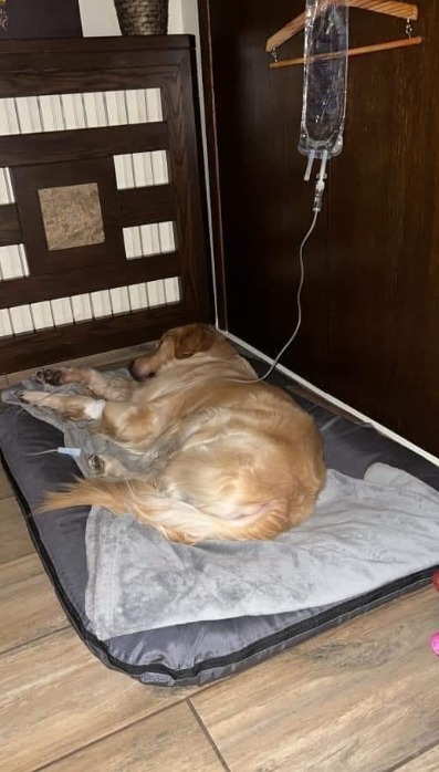 Please don't swipe past without sending him some love and prayer 🥹❤