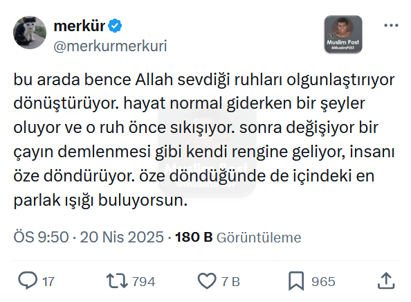 Muslim Post (@muslimp0st) on Twitter photo 