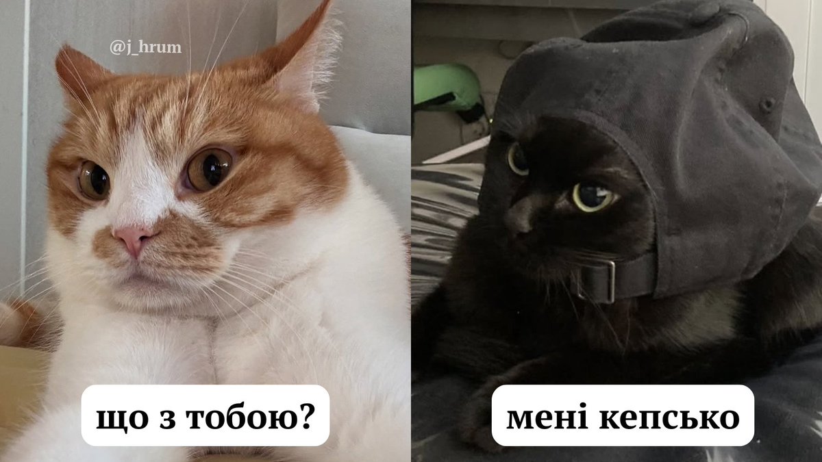j_hrum's tweet image. ось такі сьогодні меми