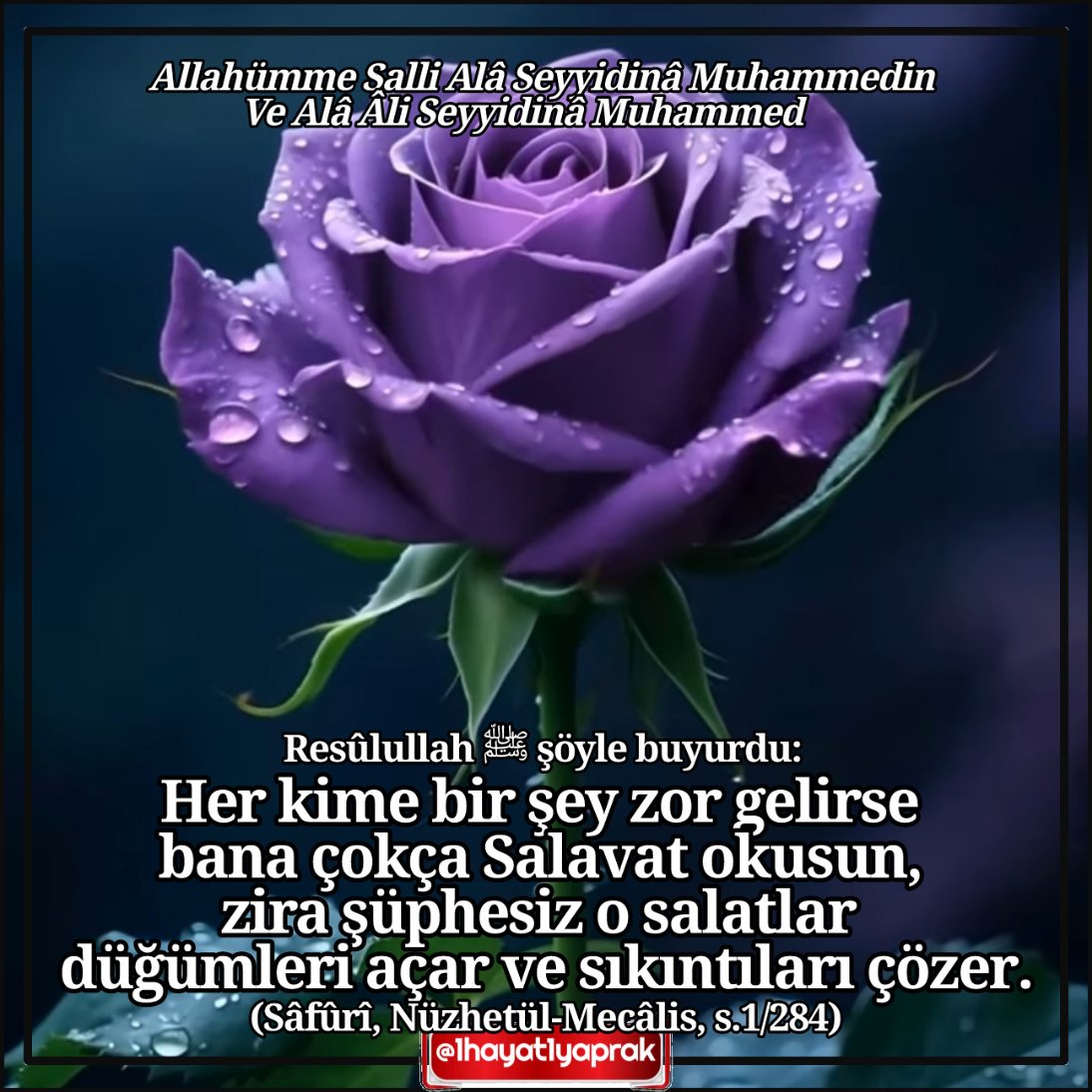 1hayat1yaprak's tweet photo. Rasûlullah ﷺ şöyle buyurdu;
Her kime bir şey zor gelirse bana çokça #salavat okusun, zira şüphesiz o salatlar düğümleri açar ve sıkıntıları çözer.
(Sâfûrî, Nüzhetül-Mecâlis, s.1/284)
#Muhammedecanfeda ❤️ https://t.co/d4wNw9FKnG