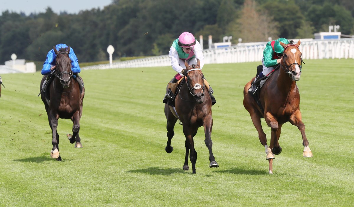 equidia's tweet image. 🟢 Retour en images sur le brillant succès de Calandagan (@GraffardRacing) dans les King George VI & Elizabeth Stakes (Gr.1).
Le représentant @AgaKhanStuds s'est adjugé son premier groupe 1 en Angleterre, le deuxième de suite après le Grand Prix de Saint-Cloud, fin juin.
Un mot…