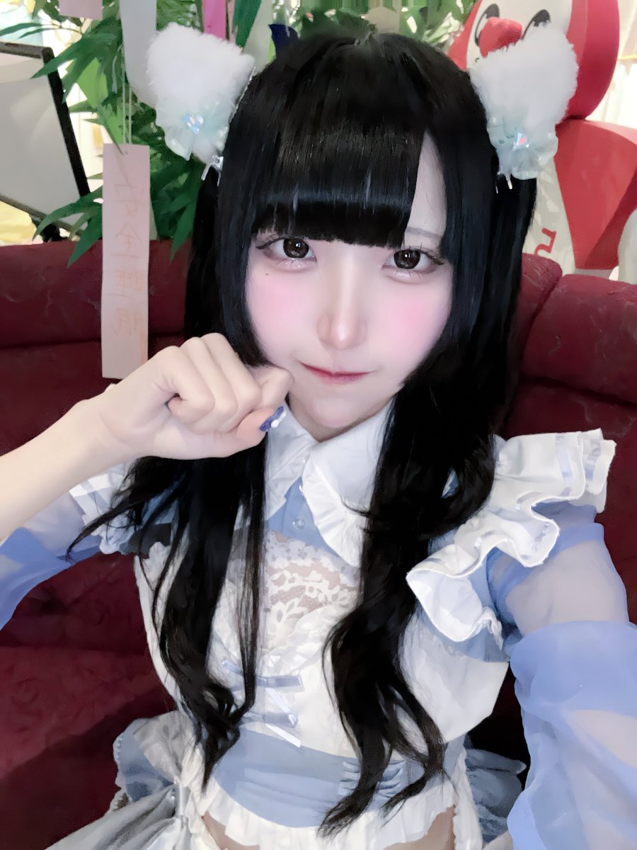 alice_shirasu2's tweet image. にゃ！！！