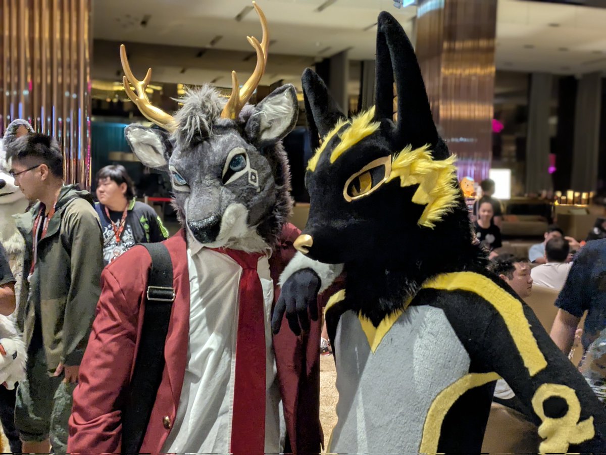 AnubisFurdance's tweet image. 🐺: I made a new suit!
🦌: ?
🐺: You know, my debut project 👀
🦌: (runs
🐺: You think you can get away? 🫵😡

🦌: @blackdeer0330
📷: Max Max
🧵: @KMN_NANO
#fursuiteveryday #2025UTFG #阿努剃毛了