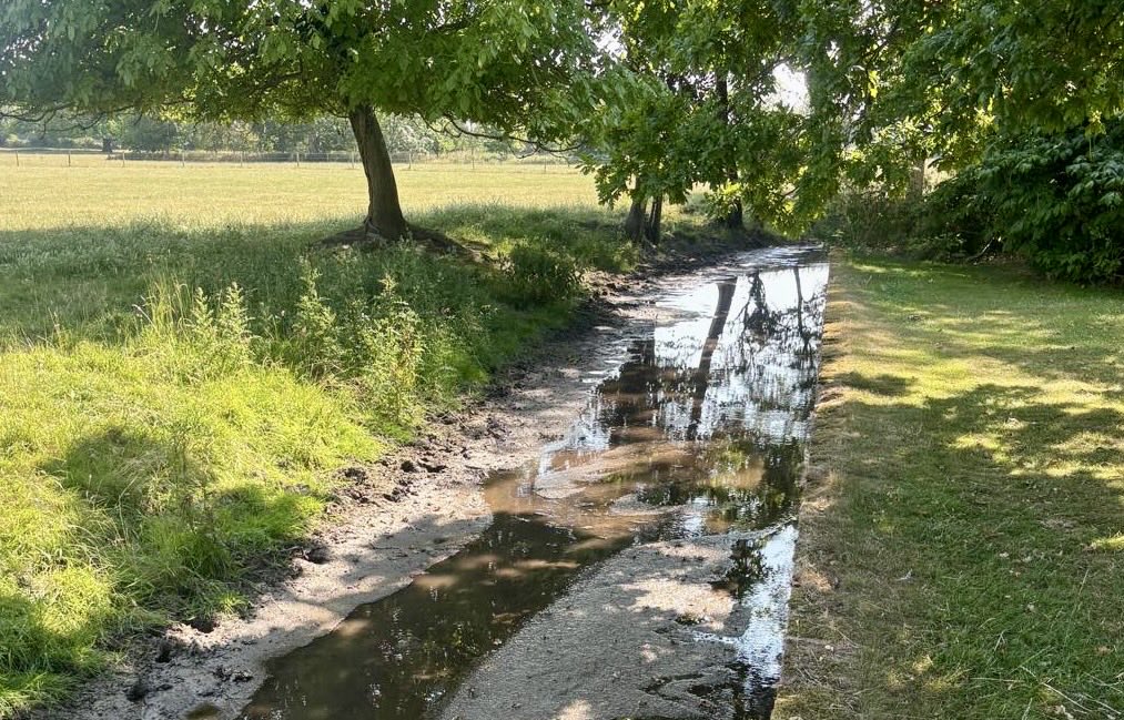 markrwilliamson's tweet image. Government drought update:
Recent rainfall not enough to reverse the dry conditions.
Supplies still declining across most areas.
Reservoirs in England are 71% full but some are at historic lows
Warning of risk to root crop harvest if conditions persist into early autumn.