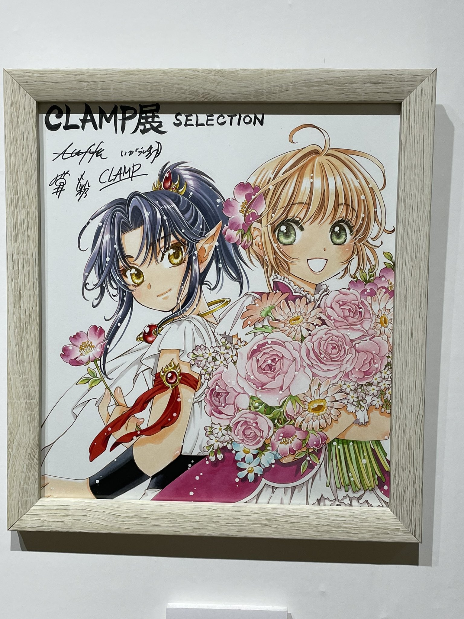 CLAMP展 - Search / X