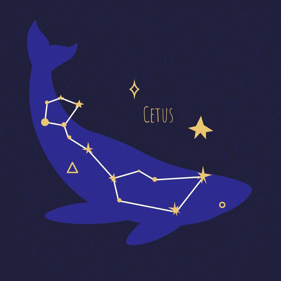 henrybuild's tweet photo. Let’s #CETUS https://t.co/j1jHXtpLfZ