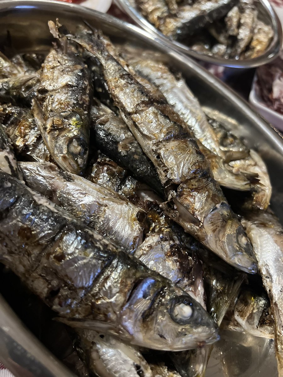 Ayer fue noche de sardinas. Hoy dios proveerá.