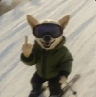 NiaoShen988's tweet image. #PUPP

滑雪狗  市值 24K

He7sdcLjhqj2AGQYeU91UNCWV5d6dkZheSadCVKubonk