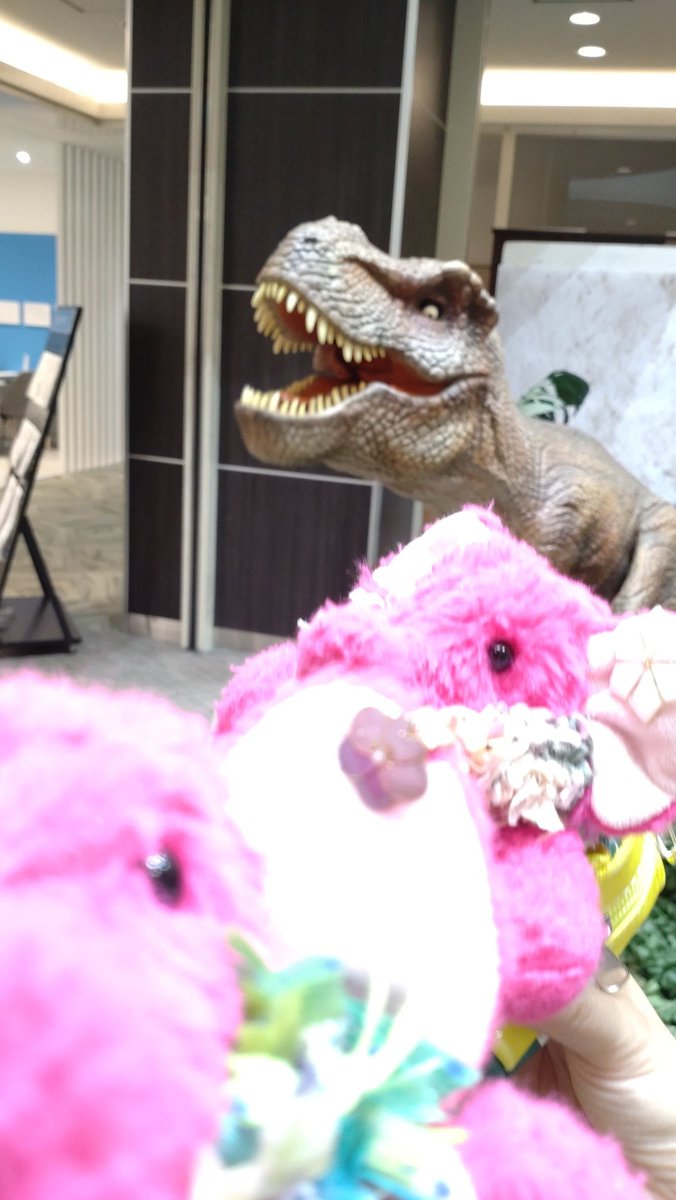 3_ka9's tweet image. ティラノサウルスと3ショット✨