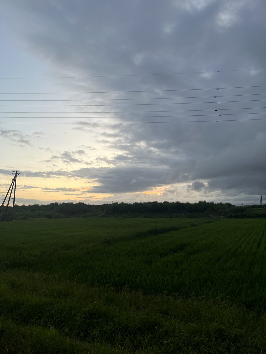 zaiyasha's tweet image. The summer day is beautiful.
暑中お見舞い申し上げます。