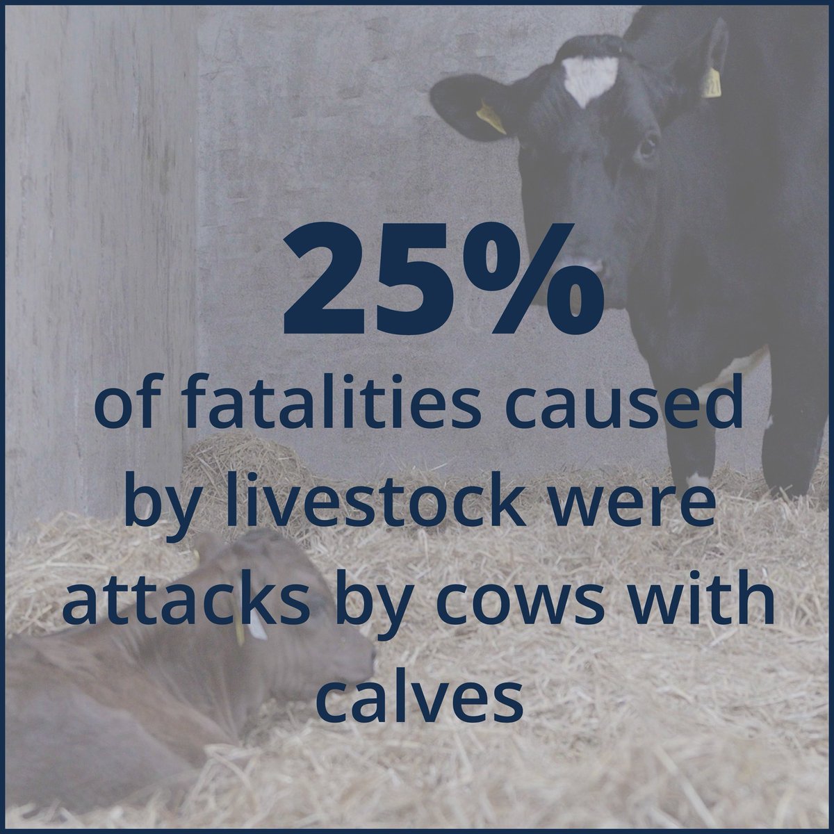 AgriAware's tweet image. As Farm Safety Week comes to a close, we’re reminding everyone that farm safety is a responsibility every single day.
Tragically, there have already been 12 farm fatalities this year matching the total for all of last year. A reminder of the risks faced daily on farms.
Last…