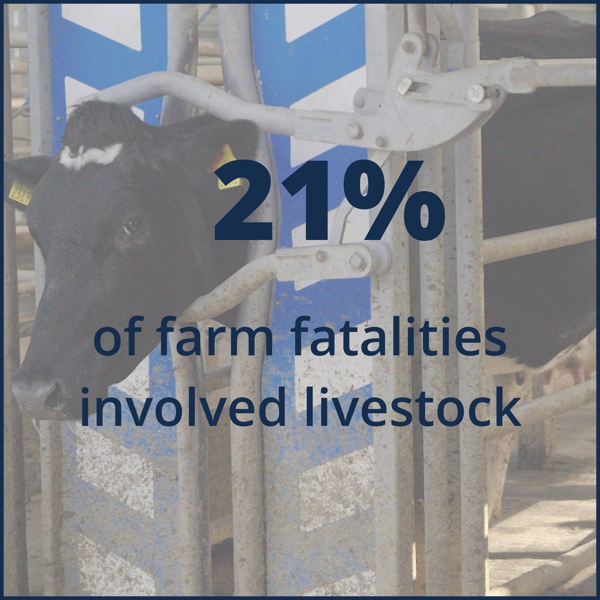 AgriAware's tweet image. As Farm Safety Week comes to a close, we’re reminding everyone that farm safety is a responsibility every single day.
Tragically, there have already been 12 farm fatalities this year matching the total for all of last year. A reminder of the risks faced daily on farms.
Last…