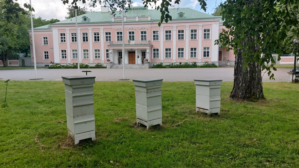 John Mulcahy (@mulcs85) on Twitter photo The president's bees #Estonia #Tallinn how lovely The president's bees #Estonia #Tallinn how lovely