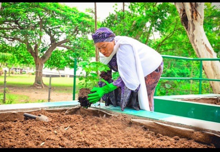 😭AGENDA 02: she was even in the farm the other day, picking spinach for her husband’s lunch. I repeat, never lower your standards for awara girls bruh!🤌🏾