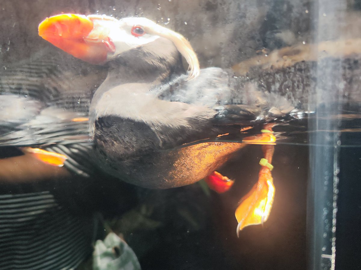 葛西水族園とてもよかった💕