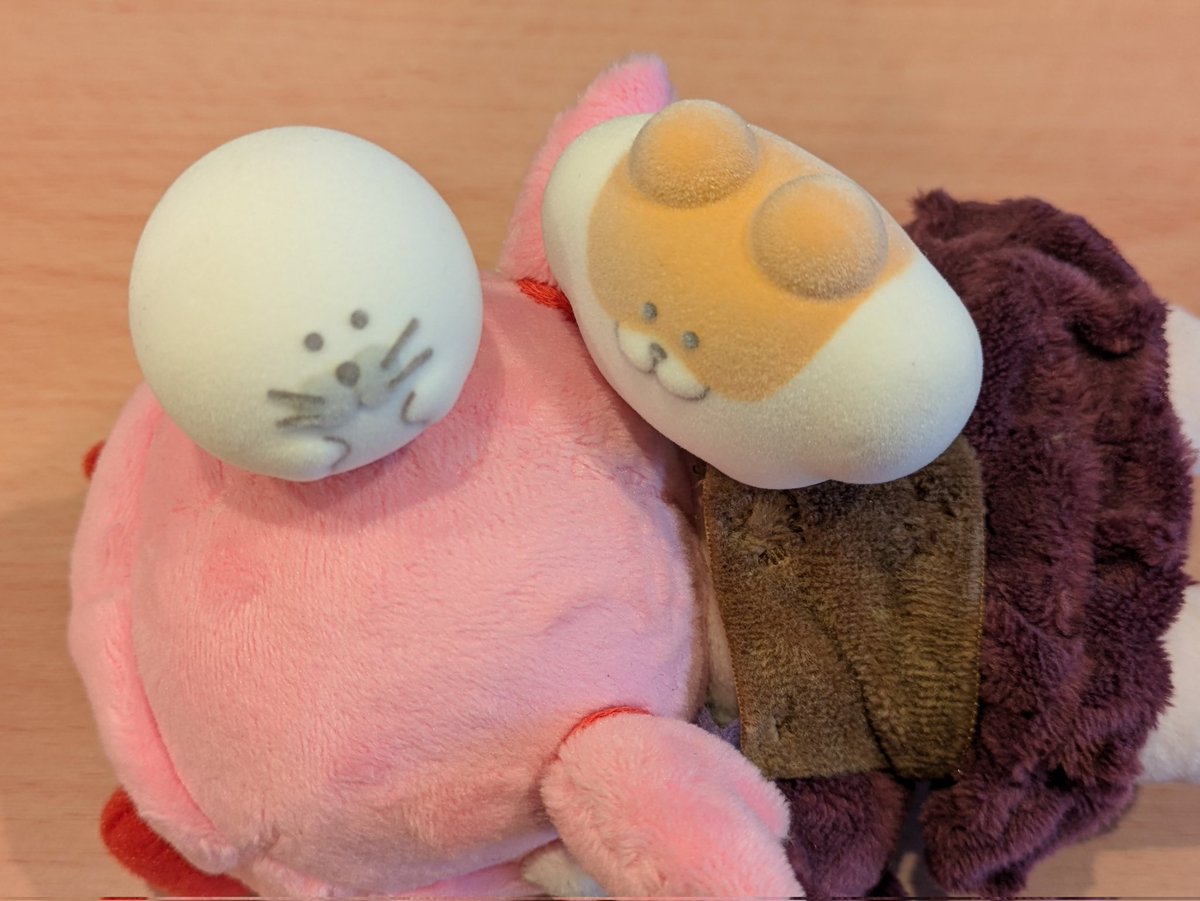 yellowunbalance's tweet image. はむ→あざらしの順で引けた
#金平どんぶらこ