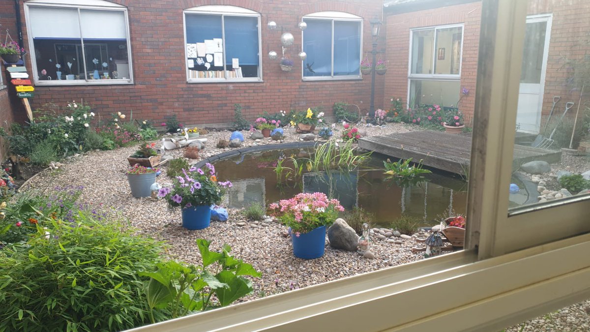 LongFieldMelton's tweet image. The ‘Secret Garden’ in the English area of school really is looking beautiful. All these roses are currently flowering! 🥀 @satrust_ @meltontimes @DAustinRoses