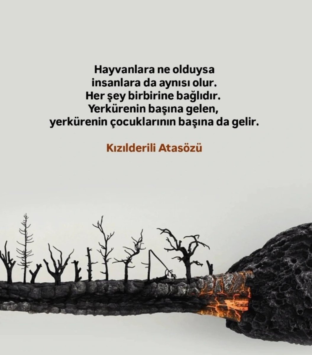 Biz hiç bir şeyi koruyamadık. Çocuklar, hayvanlar, doğa, kadınlar... Affedilmez çok kötülüğün yangınlarındayız. 😭
