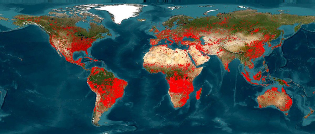 Son bir ayda dünyada meydana gelen yangınların iz düşümü. Fakat bizdeki muhalefet belediyeleri ile birlikte iş yapmak yerine, yangın gibi bir felakette dahi siyaset yapma peşinde koşmaktadır. Bunun da vicdanı olan hiçbir insan tarafından kabul edilebilir bir yanı yoktur. Olamaz.