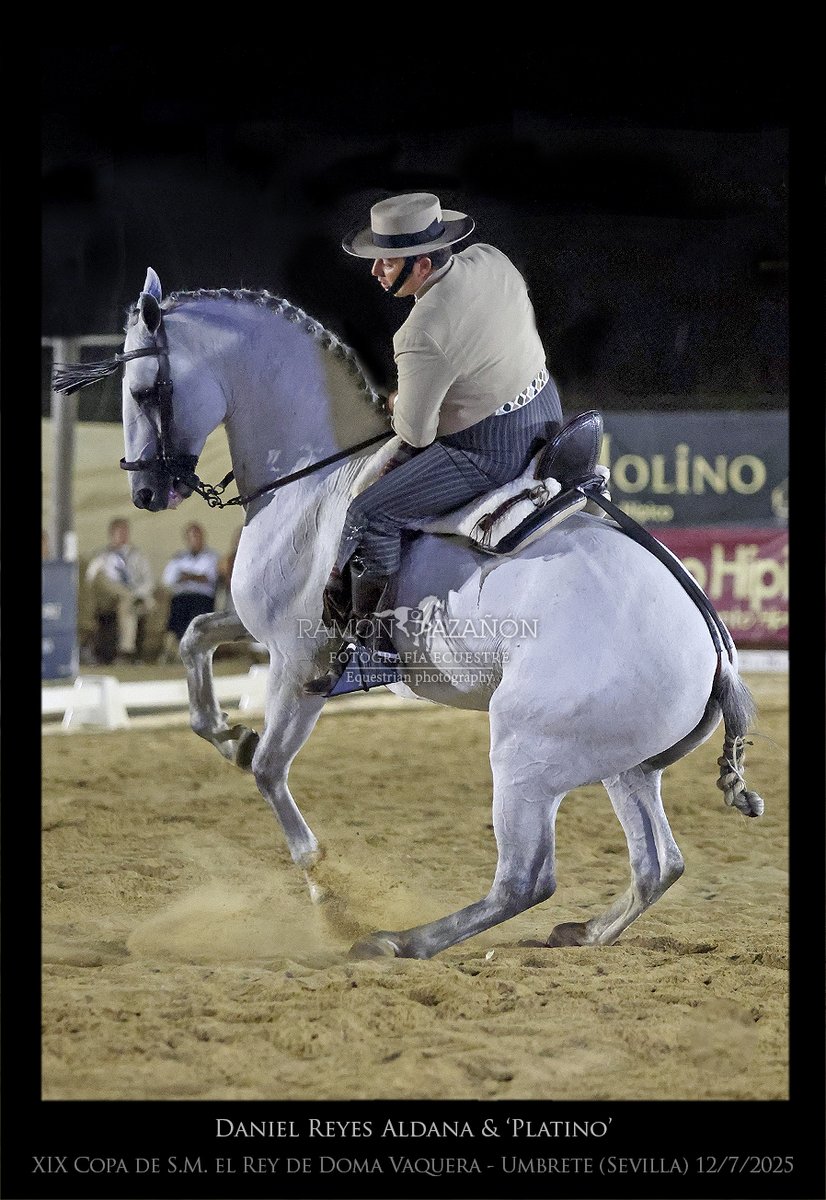 ramonazanon's tweet image. La final de 'XIX Copa de S.M. el Rey de Doma Vaquera', en imágenes. Umbrete fue el escenario.  1º Daniel Reyes Aldana montando a 'Platino', 2º José Ramón Pérez 'Chamo' con 'Destacado MVB II'  y 3º Miguel Ángel García con 'Tardío'