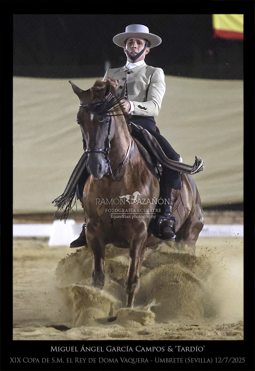 ramonazanon's tweet image. La final de 'XIX Copa de S.M. el Rey de Doma Vaquera', en imágenes. Umbrete fue el escenario.  1º Daniel Reyes Aldana montando a 'Platino', 2º José Ramón Pérez 'Chamo' con 'Destacado MVB II'  y 3º Miguel Ángel García con 'Tardío'