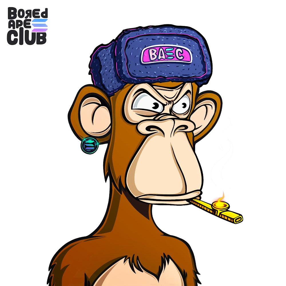 noxsolana's tweet image. GM apes 🐒
Solana apes are not where they deserve to be @BoredApeSolClub