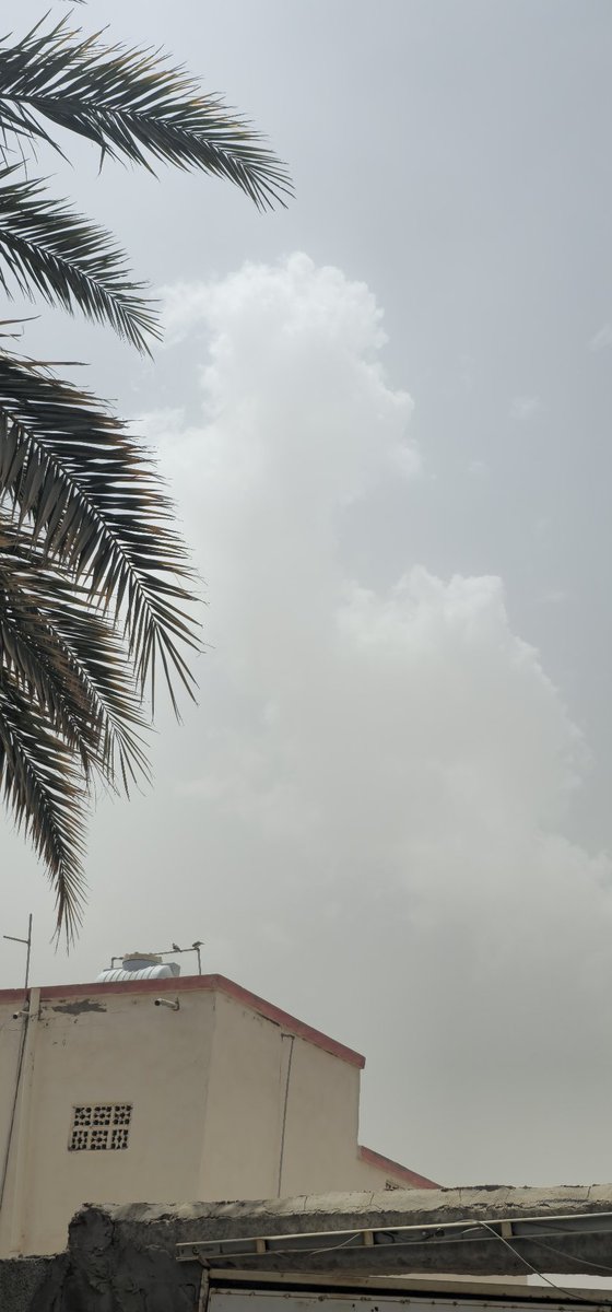nsar37's tweet image. #مكه_الان
صورة مباشرة ل شمال حداء
🤔الرادار يرصد سحب شمال وغرب الجموم والله اعلم