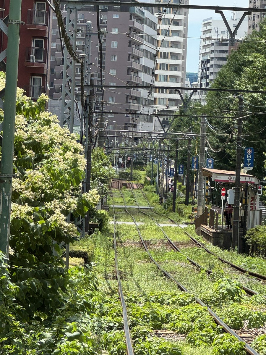 yukippe_24's tweet image. 冴えカノ聖地巡礼も出来て良かった