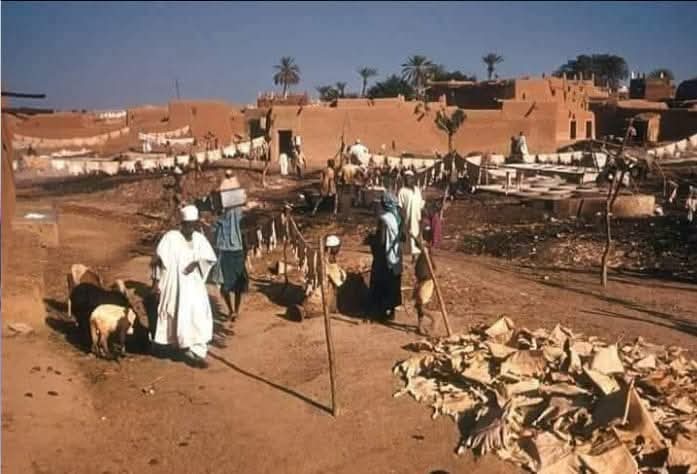ArewaFactsZone's tweet image. Hides and skin market in Kano, Northern Nigeria, circa 1959.
