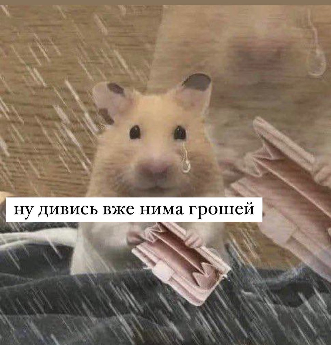 Мій хлопець дивиться як чатик «хотєлкі» кожну секунду отримує нові посилання: