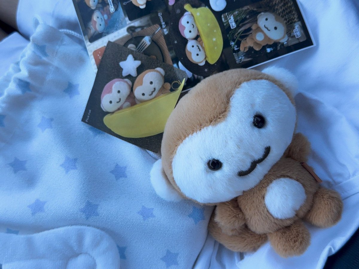 서일페 막차 탑승~