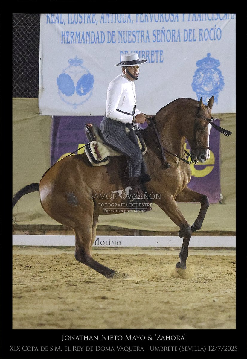 ramonazanon's tweet image. La final de 'XIX Copa de S.M. el Rey de Doma Vaquera', en imágenes.