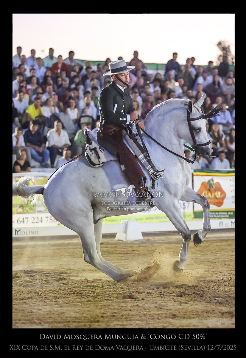 ramonazanon's tweet image. La final de 'XIX Copa de S.M. el Rey de Doma Vaquera', en imágenes.