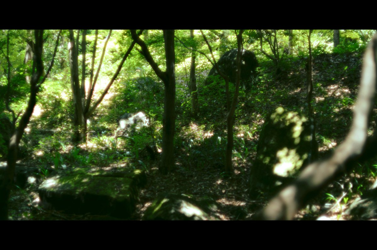 10__camera's tweet image. #010photo