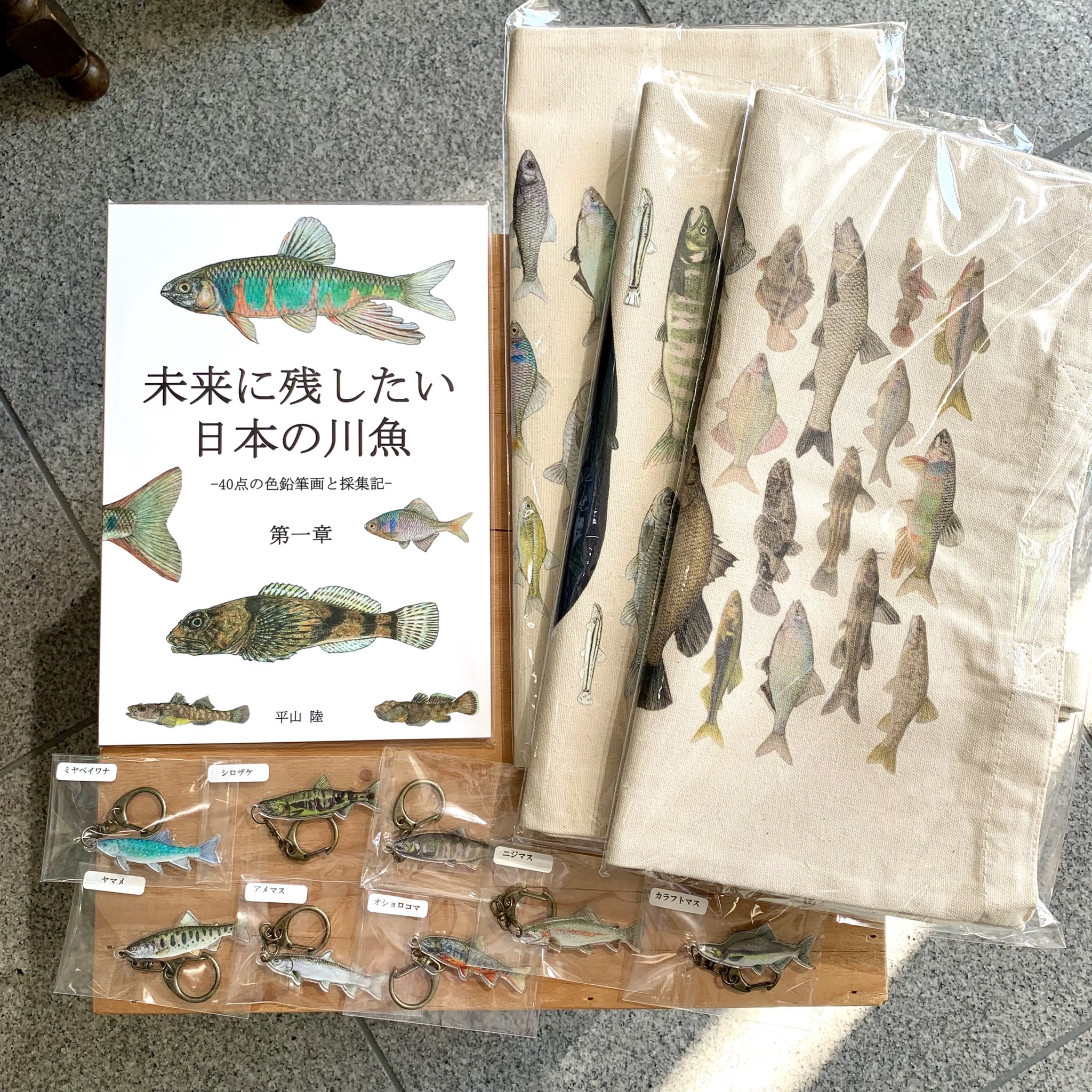 SAKANA BOOKS（サカナブックス）｜サカナに特化した本屋