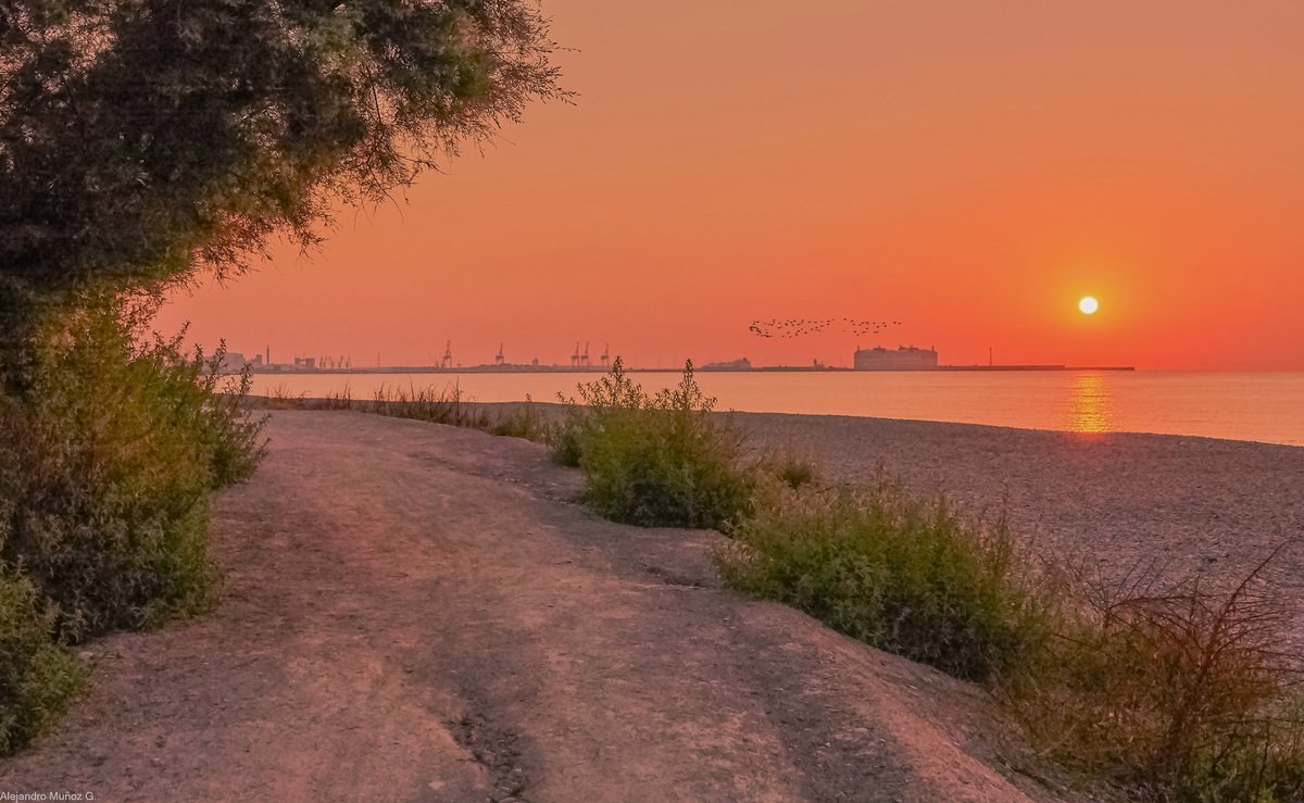 Álex Muñoz 📷 ☀🦇 💯 🧡 (@alexmuozgarc) on Twitter photo #BonDia ☀️
#BuenosDías #amanecer con el cielo despejado de #nubes y una #brisa agradable en el camino de la #MarjaldelsMoros y #playa de #Puçol (#Valencia)
<a href="/MNievesSanchez1/">MNieves Sanchez 🌼⛅🌞🌛🌈📸</a> <a href="/rasalvi49/">Ramon Salvi</a> <a href="/xusvalencia/">Jesús🦇Martínez📸</a> <a href="/minervagra/">Minerva GG</a> <a href="/Pauquechu/">Quechu</a> <a href="/anamaria190977/">Ana María Herrero</a> <a href="/sibilafc/">Silvia Ferrer</a> <a href="/RAM_meteo/">RAM: Revista del Aficionado a la Meteorología</a> #cielosESA #BonDia ☀️
#BuenosDías #amanecer con el cielo despejado de #nubes y una #brisa agradable en el camino de la #MarjaldelsMoros y #playa de #Puçol (#Valencia)
<a href="/MNievesSanchez1/">MNieves Sanchez 🌼⛅🌞🌛🌈📸</a> <a href="/rasalvi49/">Ramon Salvi</a> <a href="/xusvalencia/">Jesús🦇Martínez📸</a> <a href="/minervagra/">Minerva GG</a> <a href="/Pauquechu/">Quechu</a> <a href="/anamaria190977/">Ana María Herrero</a> <a href="/sibilafc/">Silvia Ferrer</a> <a href="/RAM_meteo/">RAM: Revista del Aficionado a la Meteorología</a> #cielosESA