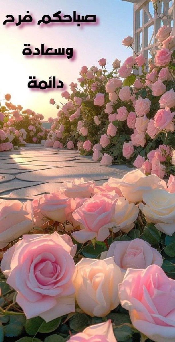 طَمأنينةُ القلبِ أعظمُ مِن سعادتهِ ،
لأن السعادةَ وقتيةٌ و الطمأنينةُ دائمةٌ 
ومِن أعظمِ أسبابِها ذِكرُ الله :
«﴿ألا بِذكرِ اللهِ تَطمَئِنُ القُلُوب﴾»..🤍

⁧ صباح الخير ⁩